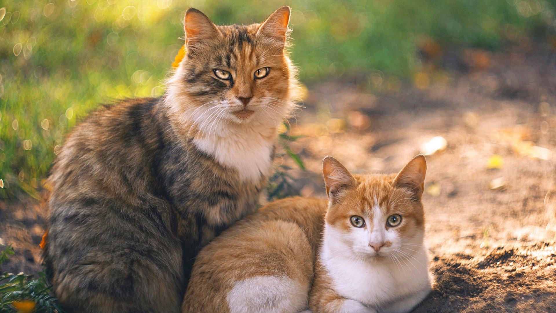 意甲阵地战：保守防守，以反击取胜，意甲的防守