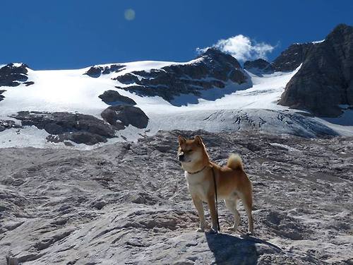 开云竞猜官网-“多场景模拟与AI战术预判，未来对抗将更加智能化和科学化”，场景模拟app