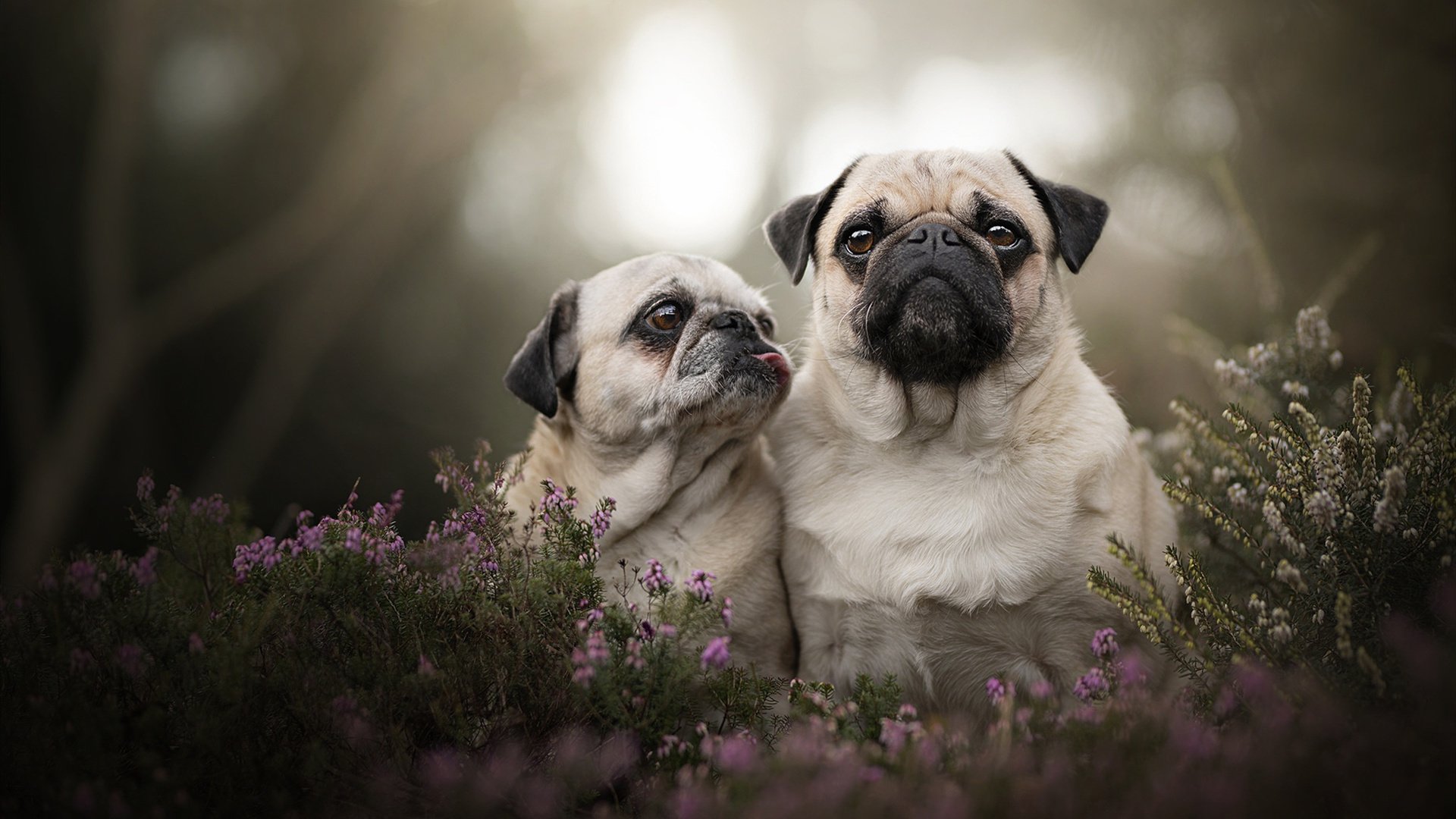 开云体育登入-战胜自我：车手面对失败的坚韧心态，关于车手的励志语录